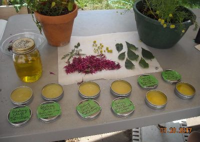 Using herbs to make Salve(Gardening)